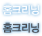 홈크리닝