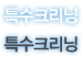 특수크리닝